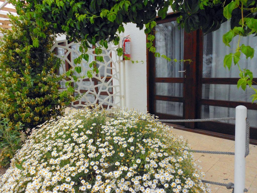 Aytas Hotel Ayvalı Kültér fotó