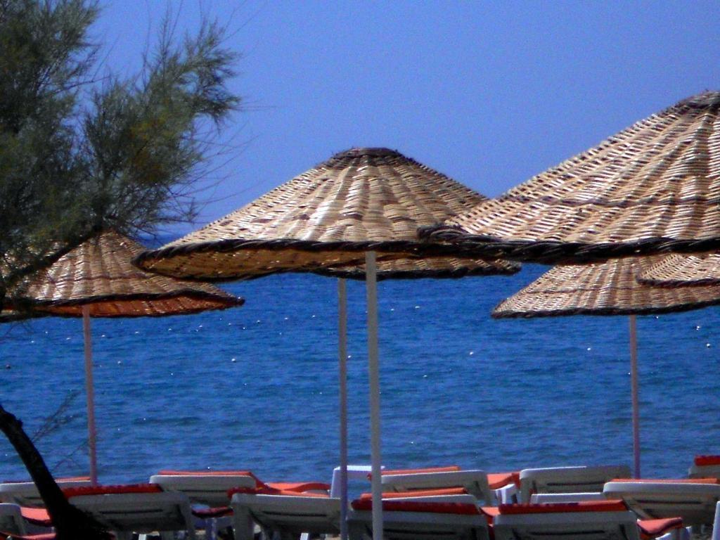 Aytas Hotel Ayvalı Kültér fotó
